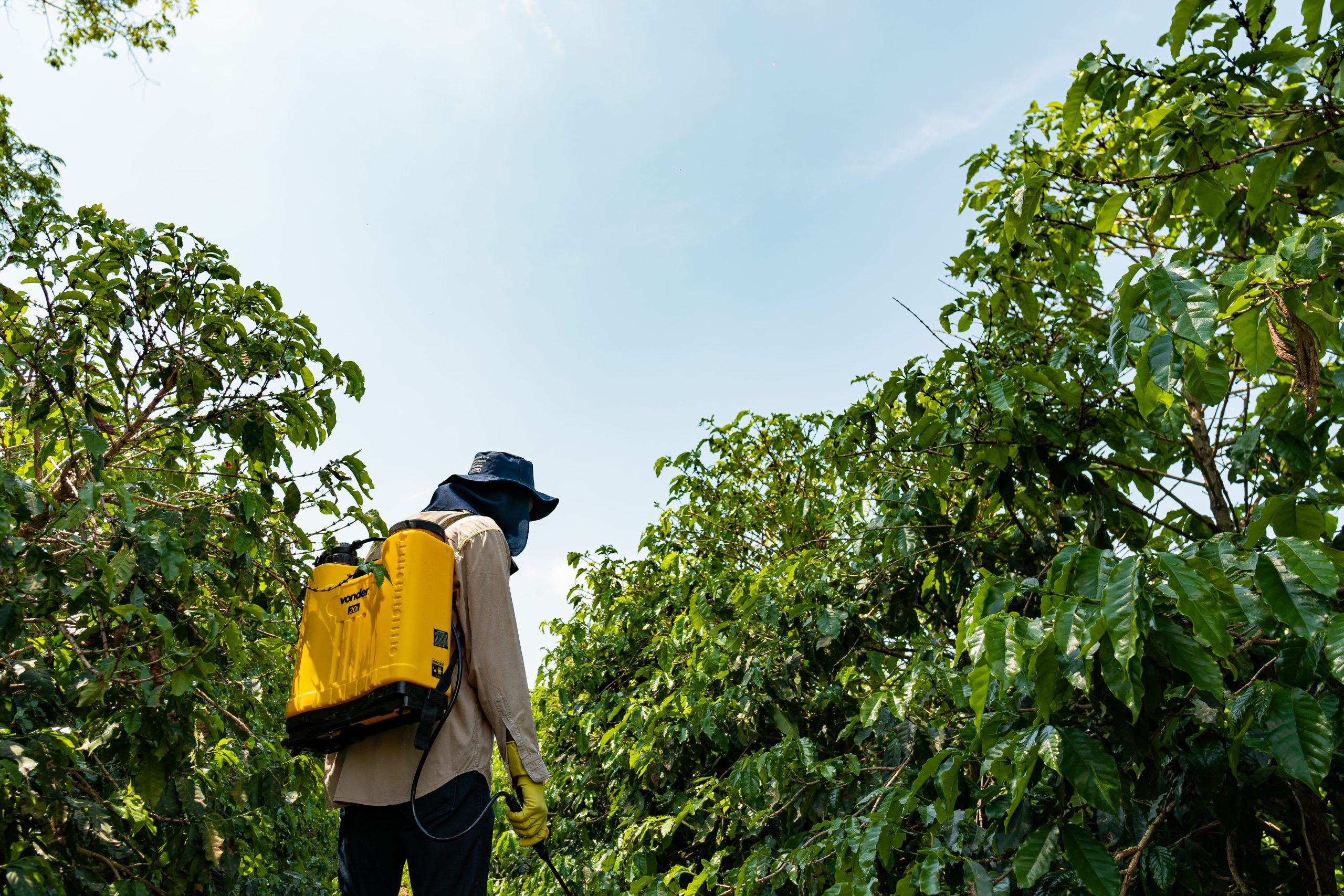 Fotografia de um trabalhador de costas, usando chapéu azul, roupa bege de mangas compridas e luvas amarelas. Ele carrega uma mochila de pulverização amarela nas costas e está cercado por arbustos verdes altos, sob um céu claro.