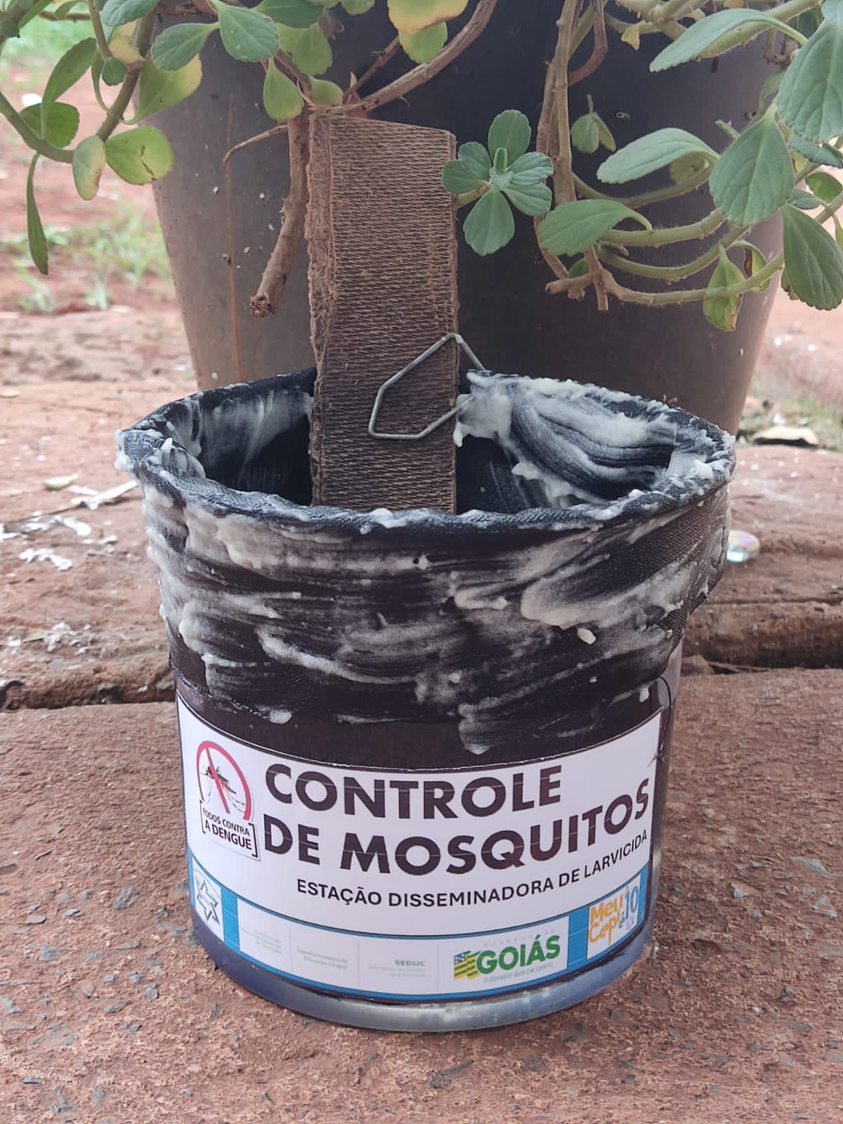 Recipiente com larvicida natural para controle de mosquitos